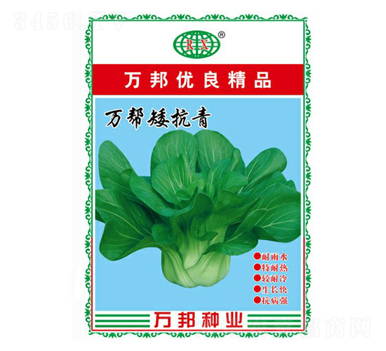 萬幫矮抗青青梗菜種子-萬邦種業(yè)