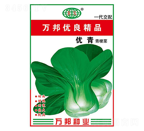 青梗菜種子-優(yōu)青-萬邦種業(yè)