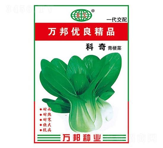 科奇青梗菜種子-萬邦種業(yè)