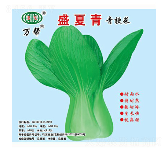 盛夏青青梗菜種子-萬邦種業(yè)