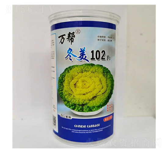 冬美102(雜交一代)烏塌菜種子-萬邦種業(yè)
