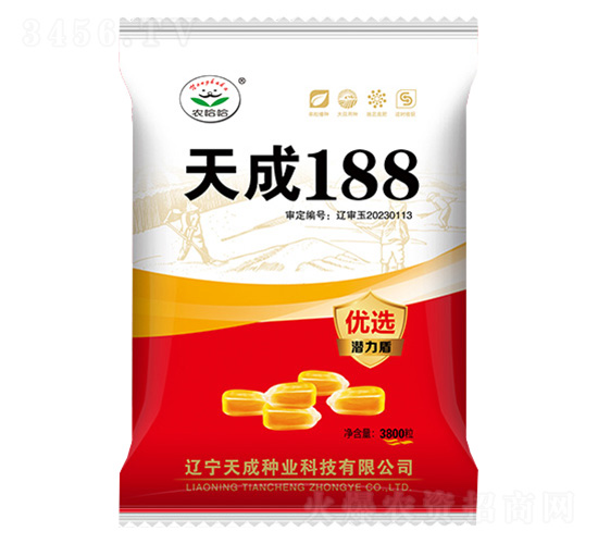 玉米種子-天成188-農哈哈-天成種業(yè)
