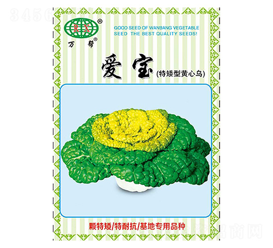 愛寶（特矮型黃心烏）烏塌菜種子-萬邦種業(yè)
