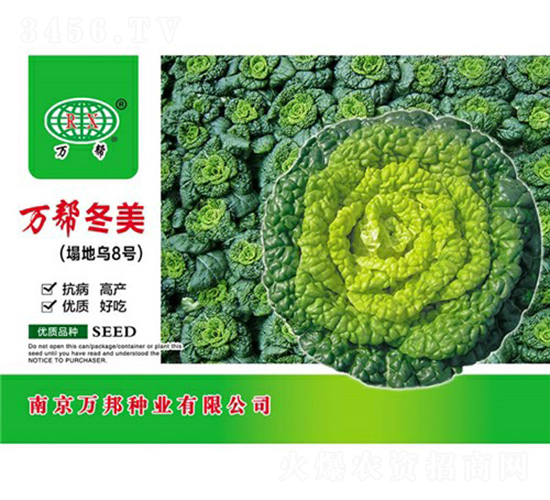 萬(wàn)幫冬美烏塌菜種子-萬(wàn)邦種業(yè)