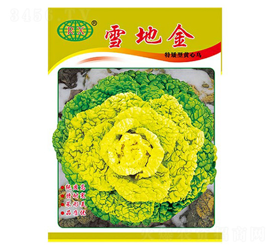 雪地金（特矮型）-烏塌菜種子-萬邦種業(yè)