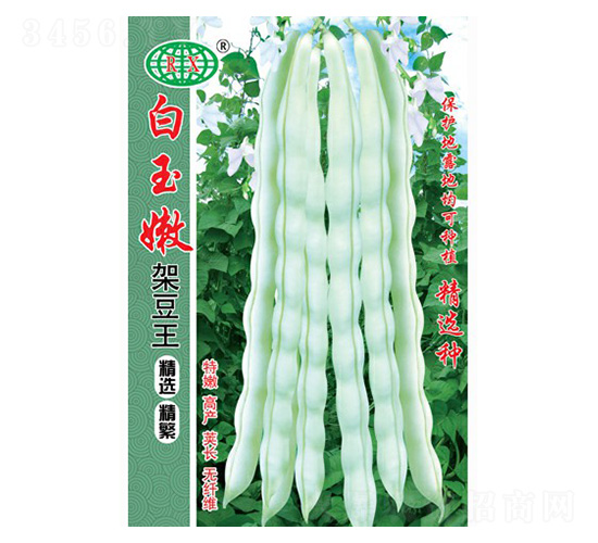 白玉嫩架豆王四季豆種子-萬邦種業(yè)