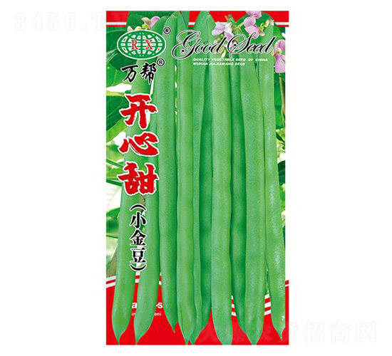 開心甜四季豆種子-萬邦種業(yè)