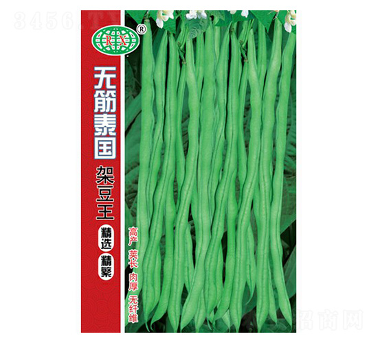 無筋泰國架豆種子-萬邦種業(yè)