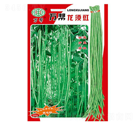 萬邦龍須豇豆種子-萬邦種業(yè)
