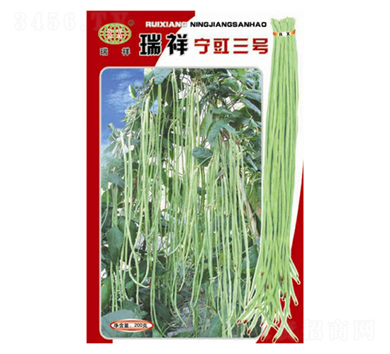 瑞祥寧豇三號豇豆種子-萬邦種業(yè)