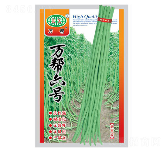 萬(wàn)幫六號(hào)豇豆種子-萬(wàn)邦種業(yè)