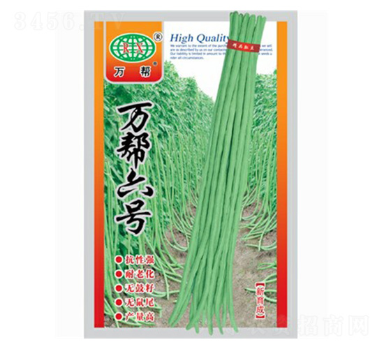 萬幫六號(hào)-豇豆種子-萬邦種業(yè)