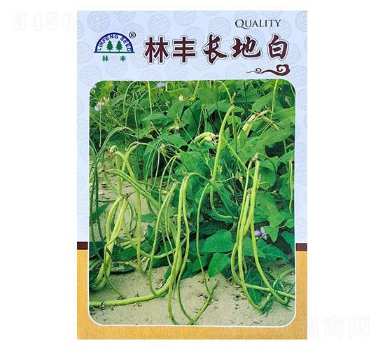 長(zhǎng)地白-豇豆種子-陵豐種苗