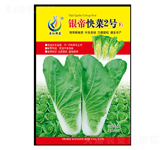 銀帝快菜2號(hào)-快菜種子-康地科技