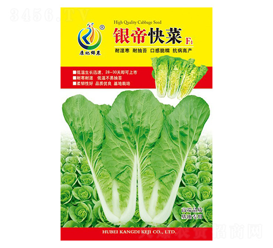 銀帝快菜-快菜種子-康地科技