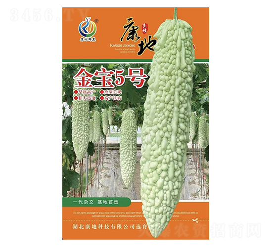 金寶5號-苦瓜種子-康地科技