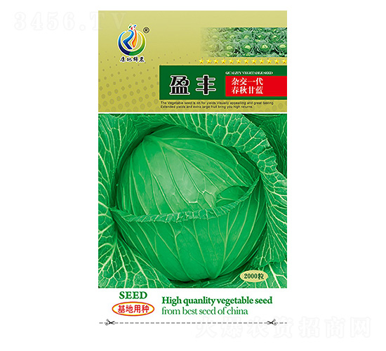 盈豐-甘藍種子-康地科技