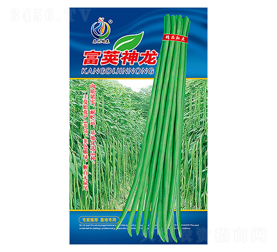 富莢神龍-豇豆種子-康地科技