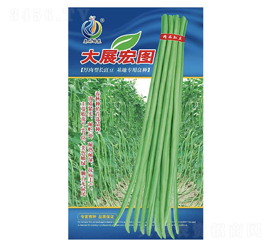 大展宏圖-豇豆種子-康地科技