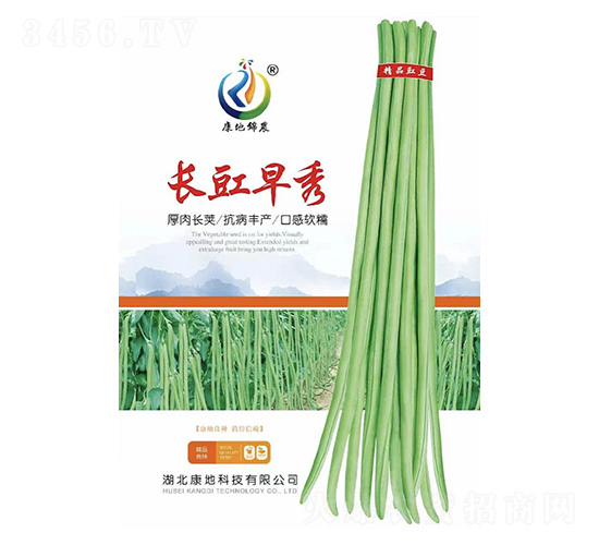 長豇早秀-豇豆種子-康地科技