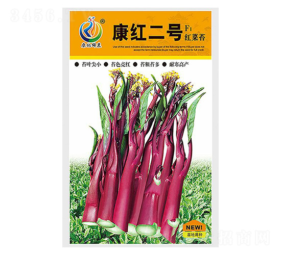 康紅二號(hào)-菜薹種子-康地科技