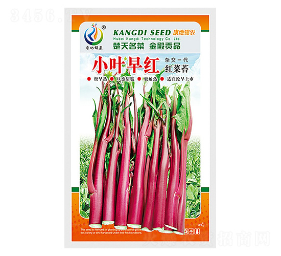 小葉早紅-菜薹種子-康地科技