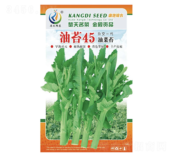 油苔45-菜薹種子-康地科技