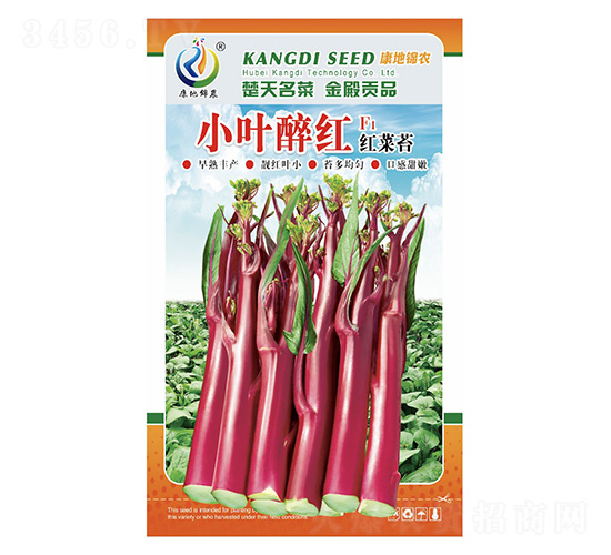 小葉醉紅-菜薹種子-康地科技