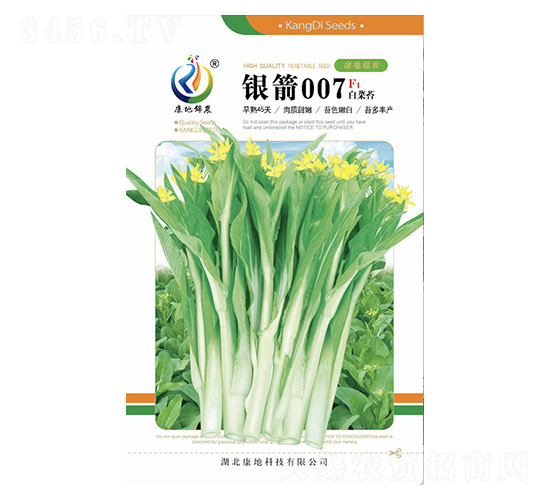 銀箭007-菜薹種子-康地科技