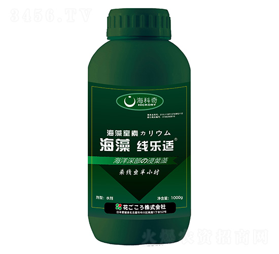 海藻線樂(lè)適-?？破? style=