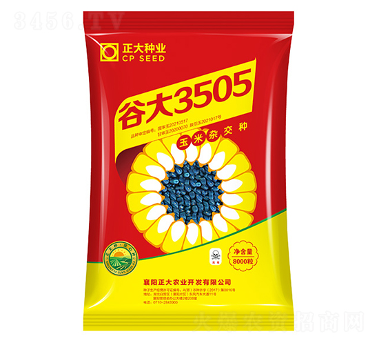 è°·å¤§3505-çŽ‰ç±³ç¨®å­-æ­£å¤§ç¨®æ¥­(yÃ¨)