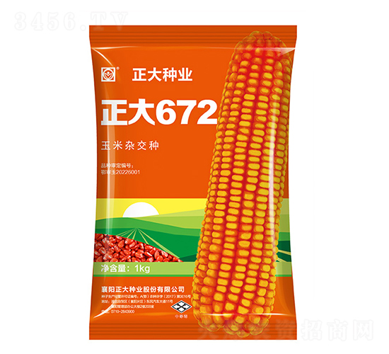 æ­£å¤§672-çŽ‰ç±³ç¨®å­-æ­£å¤§ç¨®æ¥­(yÃ¨)
