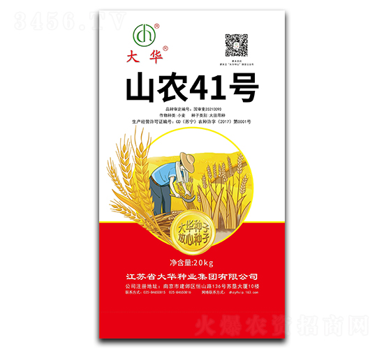 山農41號-小麥種子-大華種業(yè)