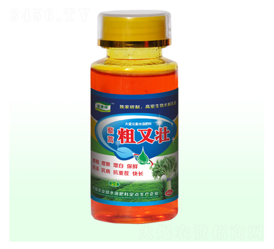 藜蒿粗又壯-富源祥肥業(yè)