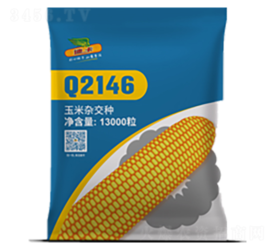 Q2146-çŽ‰ç±³ç¨®å­