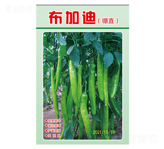 è¾£æ¤’ç¨®å­-å¸ƒåŠ è¿ªï¼ˆç¹ƒç›´ï¼‰-å°šè±è¾²(nÃ³ng)æ¥­(yÃ¨)