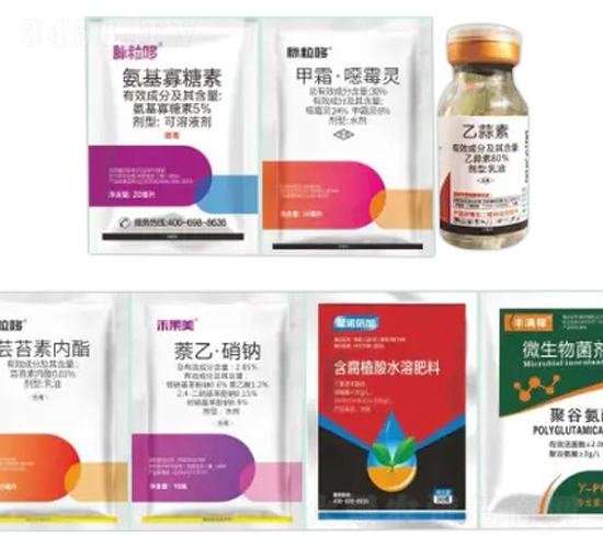 死苗爛根解決方案-脈粒哆-諾倍加農業(yè)
