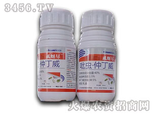 40%吡蟲·仲丁威乳油-虱蚜盡-護農(nóng)