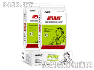有機黃腐酸鉀水溶肥-肥祖母-恩正