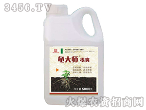 植物調(diào)節(jié)劑-龜大師-富美實