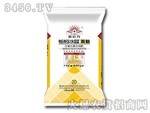 中量元素水溶肥-新啟力