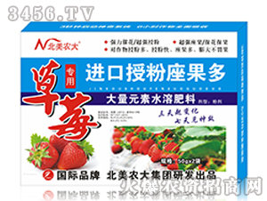草莓專(zhuān)用進(jìn)口授粉座果多-北美農(nóng)大