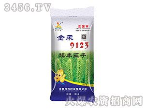 小麥種子-金禾9123-邦邦種業(yè)