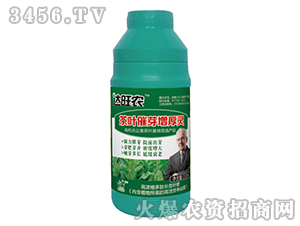 200ml高濃縮多肽長效葉肥（茶葉催芽增厚靈）-達(dá)旺農(nóng)-金正達(dá)農(nóng)