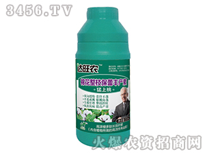 200ml高濃縮多肽長效葉肥（棉花整枝保蕾豐產(chǎn)素）-達(dá)旺農(nóng)-金正達(dá)農(nóng)