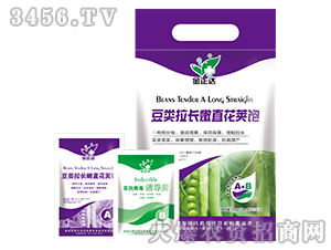 葉面肥-豆類拉長嫩直花莢飽-金正達(dá)農(nóng)