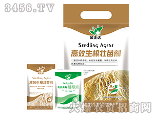 葉面肥-高效生根壯苗劑-金正達(dá)農(nóng)