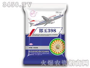 邯玉398-玉米種子-京石種業(yè)