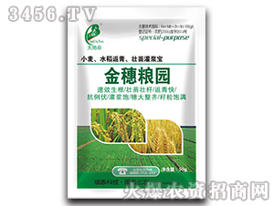 小麥水稻返青壯苗灌漿寶-金穗糧園-瑞泰恒昌