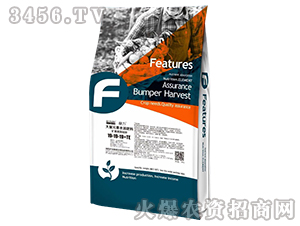 ç¤¦æºé»ƒè…é…¸é‰€åž‹å¤§é‡å…ƒç´ æ°´æº¶è‚¥æ–™19-19-19+TE-éšåŠ›-è–©æž—è¾²(nÃ³ng)æ¥­(yÃ¨)